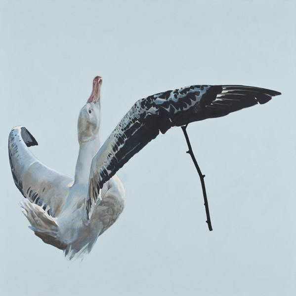 Saúl Sánchez .- Albatros (De la serie pato o conejo). 2011. Pintura / Acrílico sobre lienzo, 100 x 100 cms