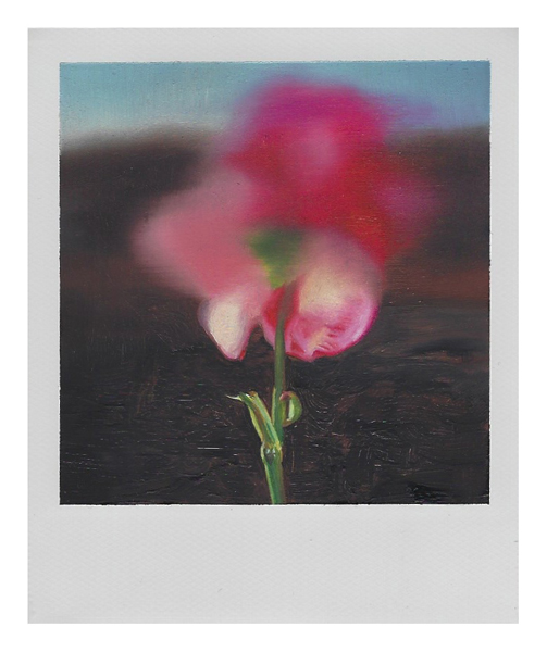 Martí Cormand - Dad's punk flower. 2019. Óleo sobre Polaroid. 10,8 x 8,9 cm. 