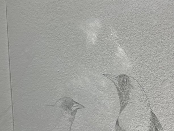 Donna Conlon - Exposición Un aviario para hoy. Vista de sala. Once in a While a Bird (De vez en cuando un pájaro). 2023. Metacrilato grabado y luz. Dibujo de sombra